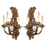 Pair of large Sconces
