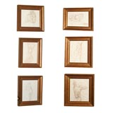 Set of 6 Male and Femal Study of Nudes Set of 6 Male and Femal Study of Nudes
