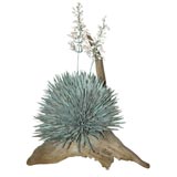 Large Copper Yucca Sculpture on Driftwood