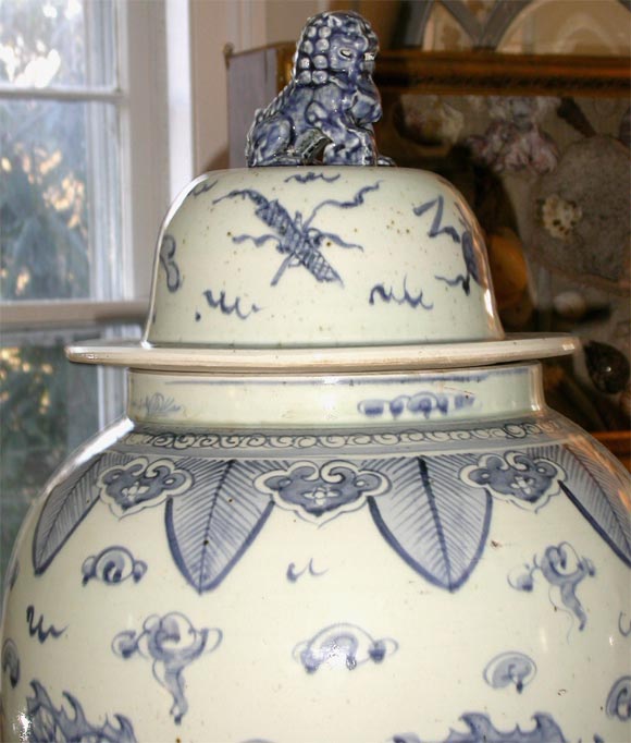 Very large blue and white porcelin ginger jars