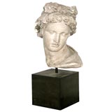Marble Head of Appollo