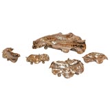 A set of 5 Continental Silver Shell Form Dishes