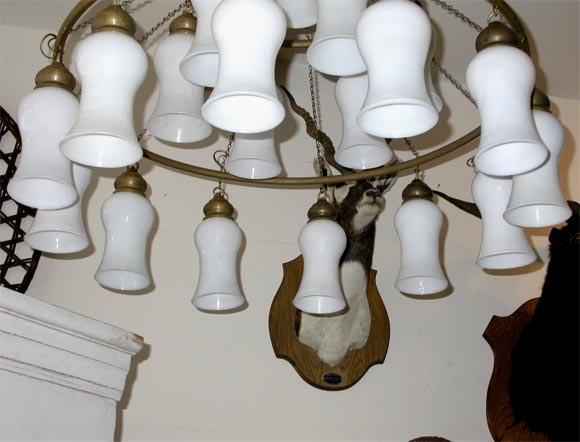 20th Century Egyptian Handblown Chandelier with Opaque White Bell-Shaped Glass For Sale
