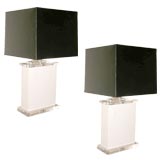 Pair of Lucite and Faux Skin Lamps