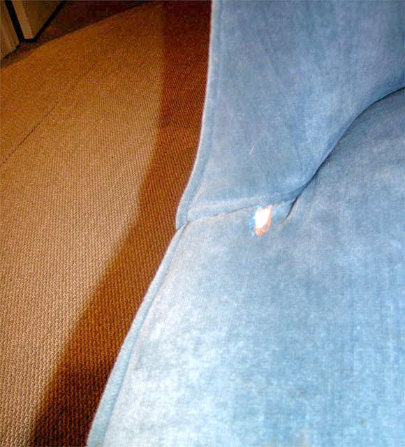Photographer's Chair 2