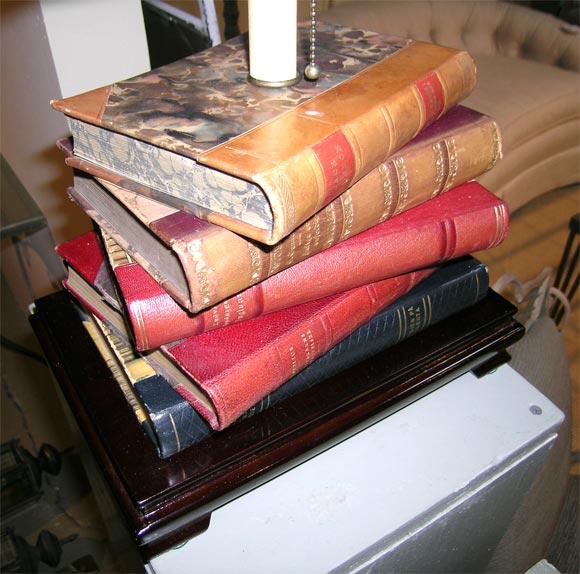 20th Century Pair of book lamps