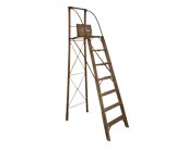 Antique American Primitive Ladder