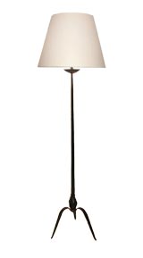 Black Polished Iron Floor Lamp