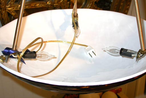 tortoise shell pendant light