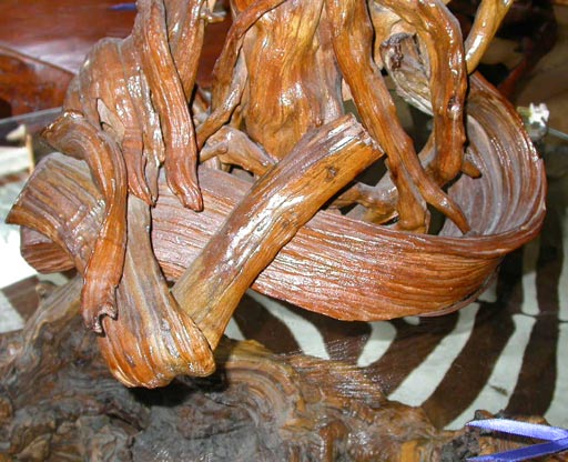 Driftwood Lamp