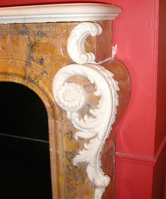 English Very Rare George II Sienna and White Statuary Marble Fireplace.