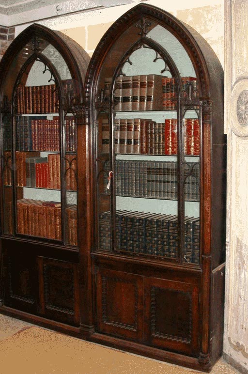 Neo Gothic Library Shelves 1