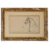 Antique Study of Horse
s Head