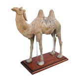 A VIGOROUSLY MODELED LARGE CHINESE GRAY POTTERY STANDING CAMEL