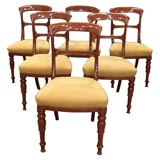 6 William IV Mahogany Chairs