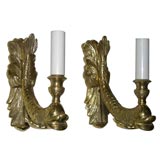 Pair of brass fish sconces, also available in silverplate
