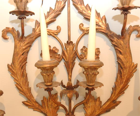 19th Century Italian Gilt Sconce