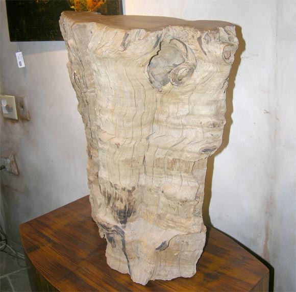 teak stump sculpture