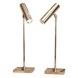 Nickel Articulating Lamps