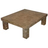 Fossil Stone Coffee Table