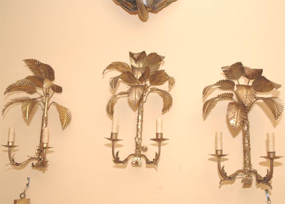 Set of 3   palm trees sconces