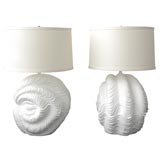 Pair of Large Plaster Shell Lamps