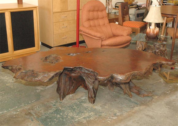 massive free edge redwood burl coffee table