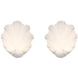 Pair of Large French Plaster Sconces