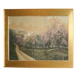 Antique large Nutting photo - Orchard in Spring
