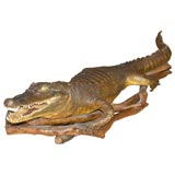 Five Feet of Vintage Floridiana