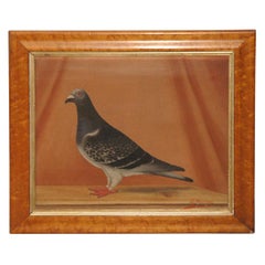 Vintage Oil on Canvas of Pigeon