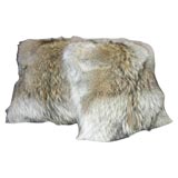 Vintage Coyote Fur Pillow