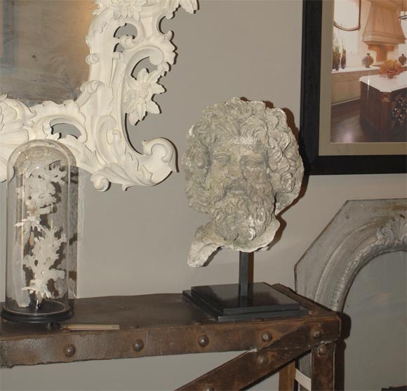Large Plaster Male Head