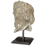 Large Plaster Male Head