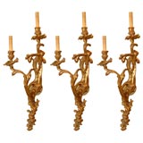 Pair of Rococo Gilt Two-Light Sconces