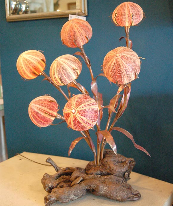 Fantastic wood and copper lamp with English Channel sea urchin shells for shades. Very organic and unusual.