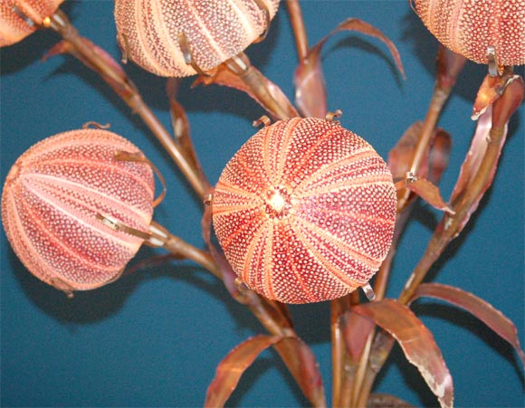 Unusual Sea Urchin Lamp 2