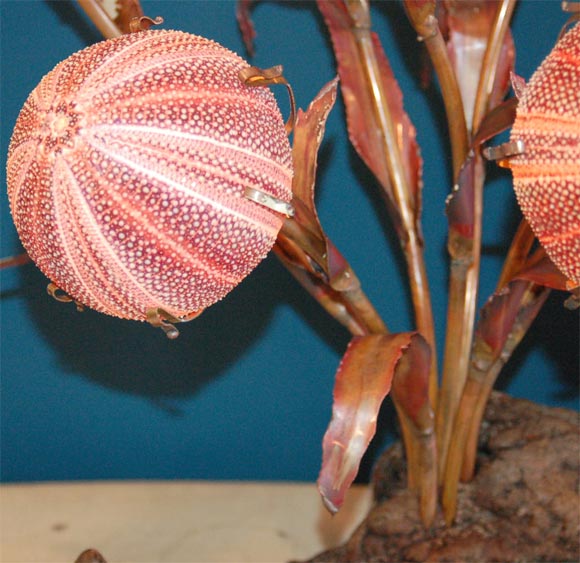 Unusual Sea Urchin Lamp 4