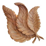 Large Carved Wood Leaf Sconce