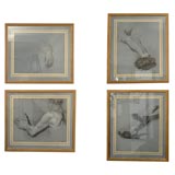 Academic Drawings
