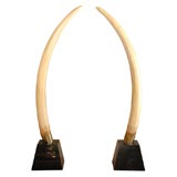 Pair Resin Elephant Tusks