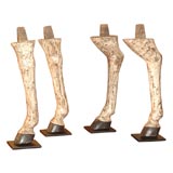 Four Horse Legs