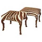 Portuguese Style Zebra Window Seats
