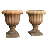 Pair of Terracotta urns