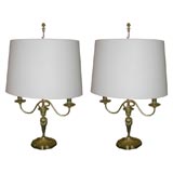 pair of classic French bronze lamps