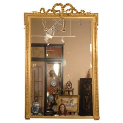 Tall Gilt Mirror