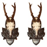Pair of Mounted Antlers