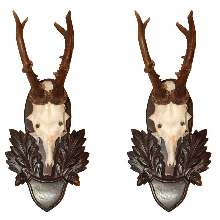 Pair of Mounted Antlers For Sale