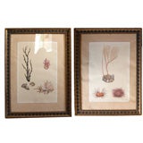 PAIR PAINTINGS EXECUTED IN GOUACHE