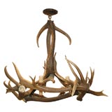 French Horn Chandelier